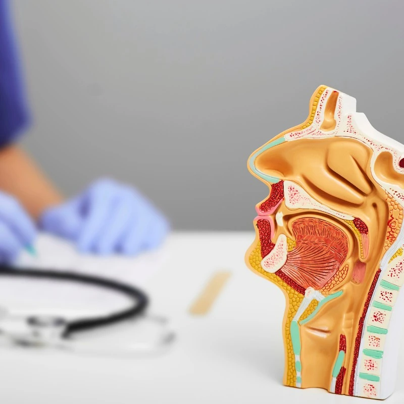 ENT allergy conditions treated