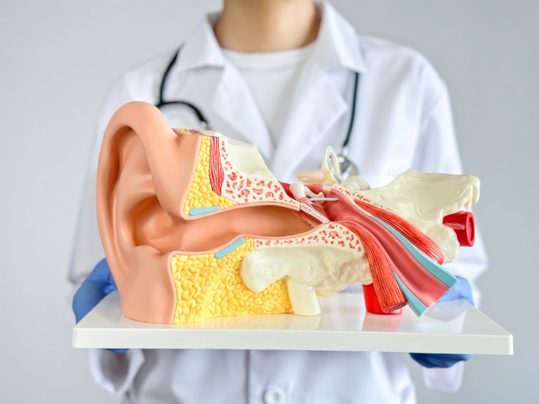 ENT Care in Glen Rock, NJ